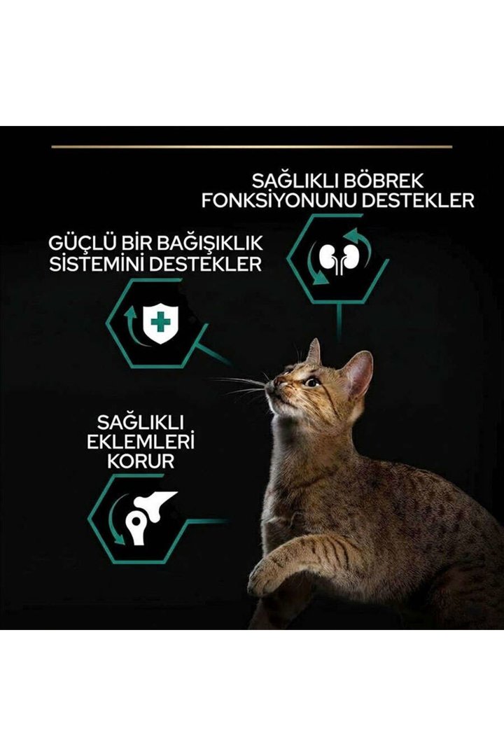 ProPlan Sterilised Hindi-Tavuk Kısırlaştırılmış Kedi Maması 3 Kg görsel 3