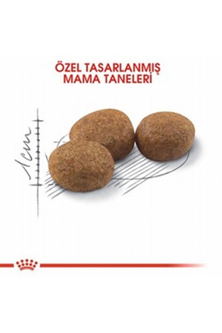 Royal Canin Kısır Kedi Maması Sterilised37 2 Kg görsel 5
