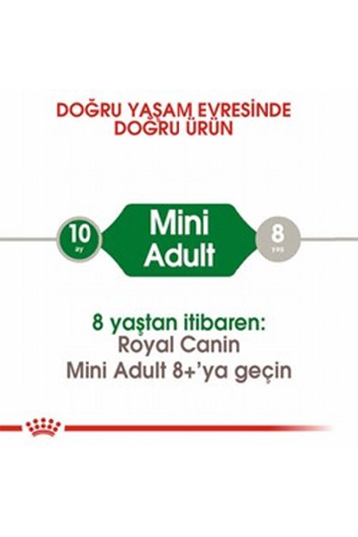 Royal Canin Köpek Maması Küçük Irk 2 Kg görsel 2