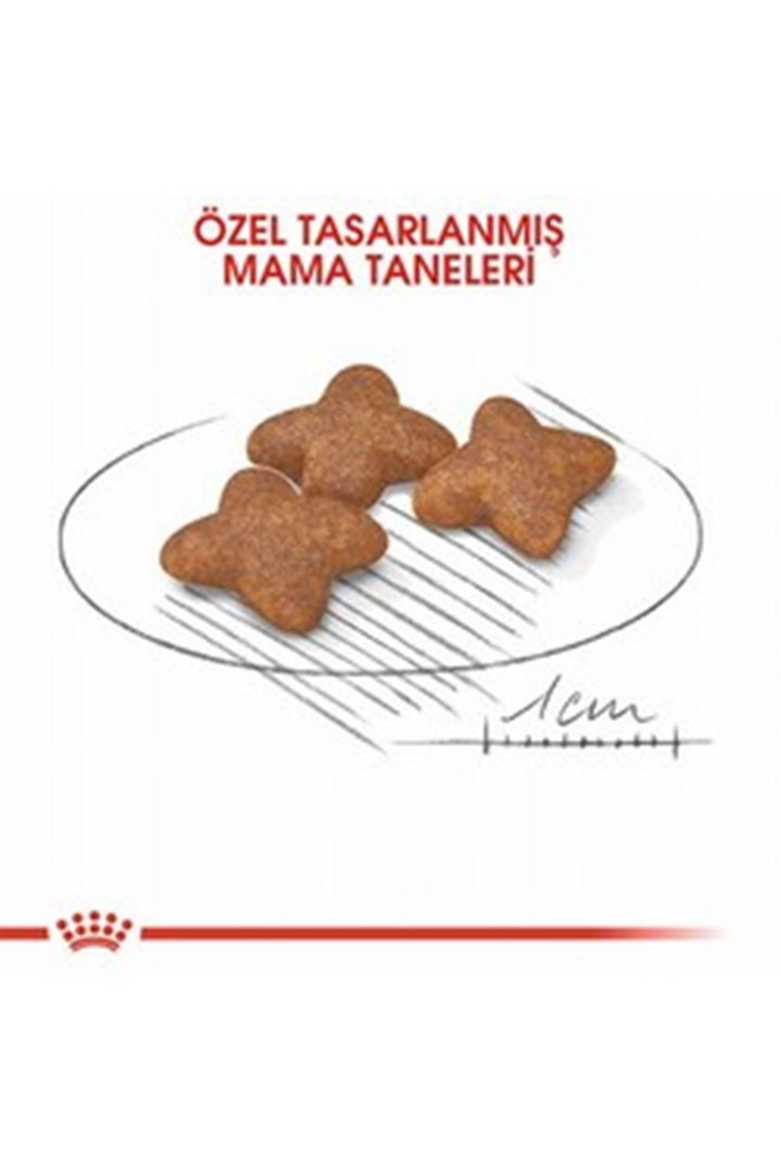 Royal Canin Köpek Maması Küçük Irk 2 Kg görsel 3