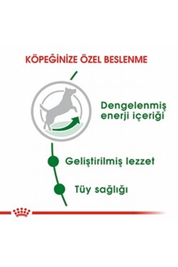Royal Canin Köpek Maması Küçük Irk 2 Kg görsel 7