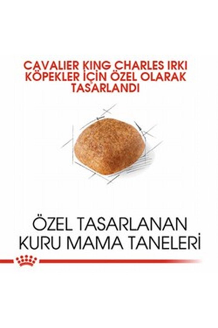 Royal Canin Köpek Mama Cavalier King Charles 1.5Kg görsel 4