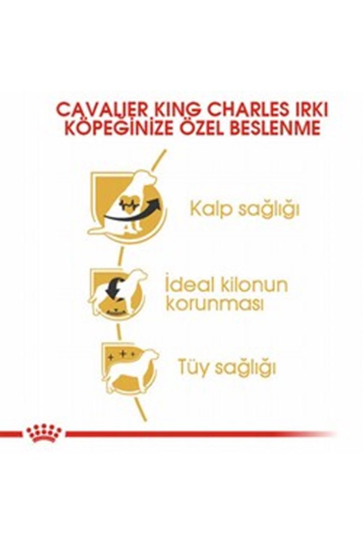 Royal Canin Köpek Mama Cavalier King Charles 1.5Kg görsel 7