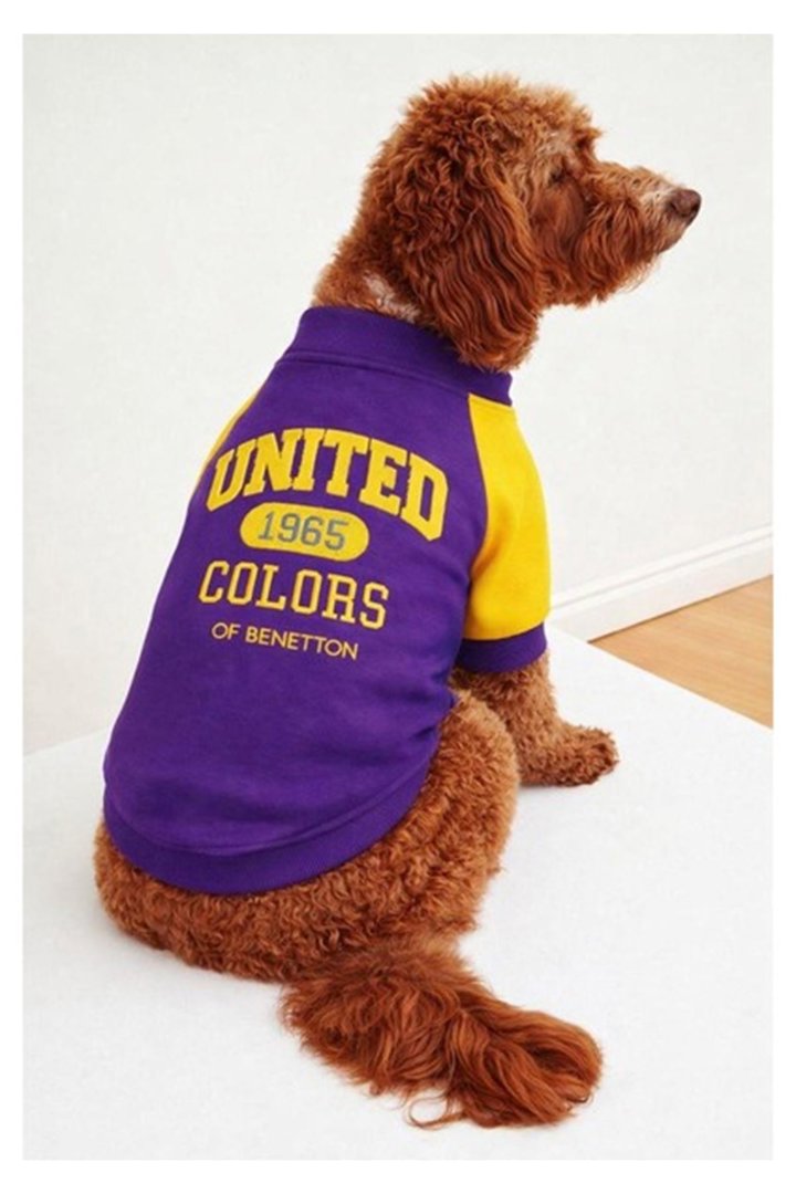 Benetton Sweatshirt Lacivert (S)