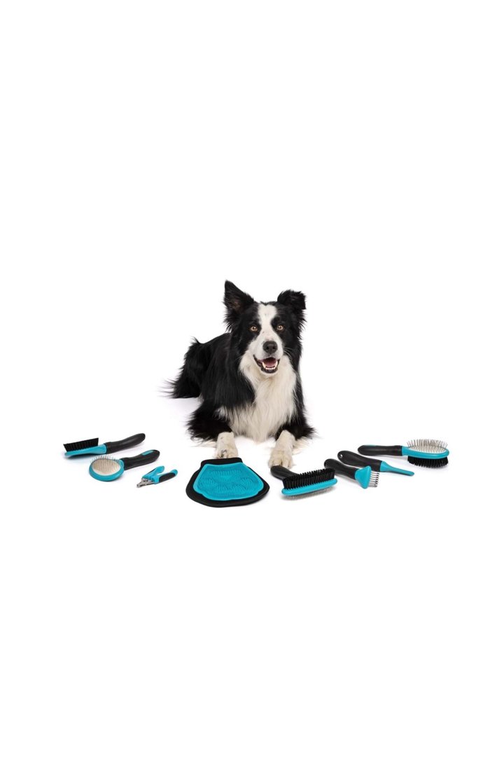 M-Pets Köpek Tarağı Up-Down görsel 3