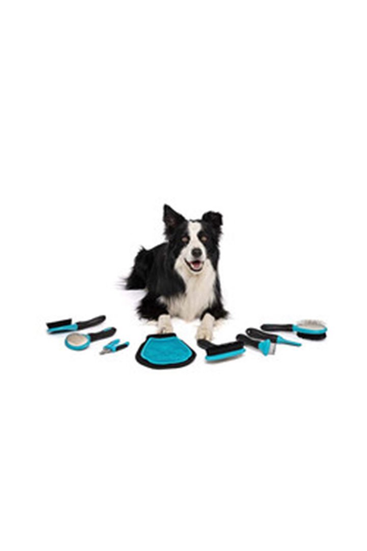 M-Pets Köpek Tarağı Tırmık