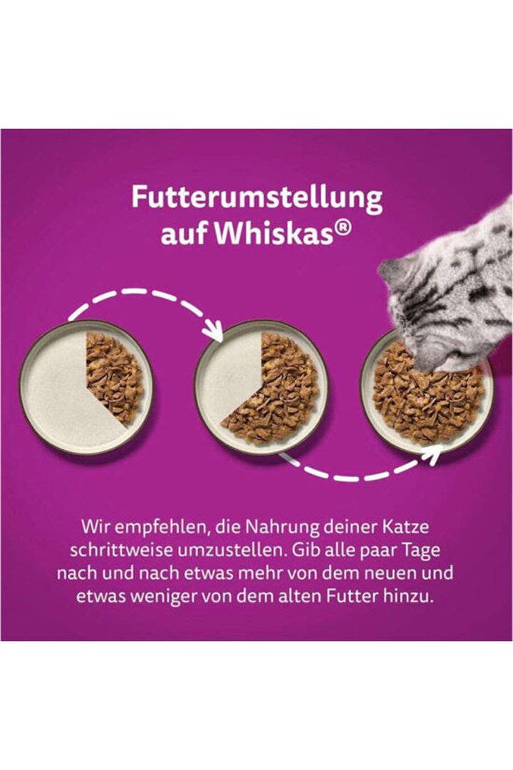 Whiskas Kedi Yaş Maması Somonlu 85 G