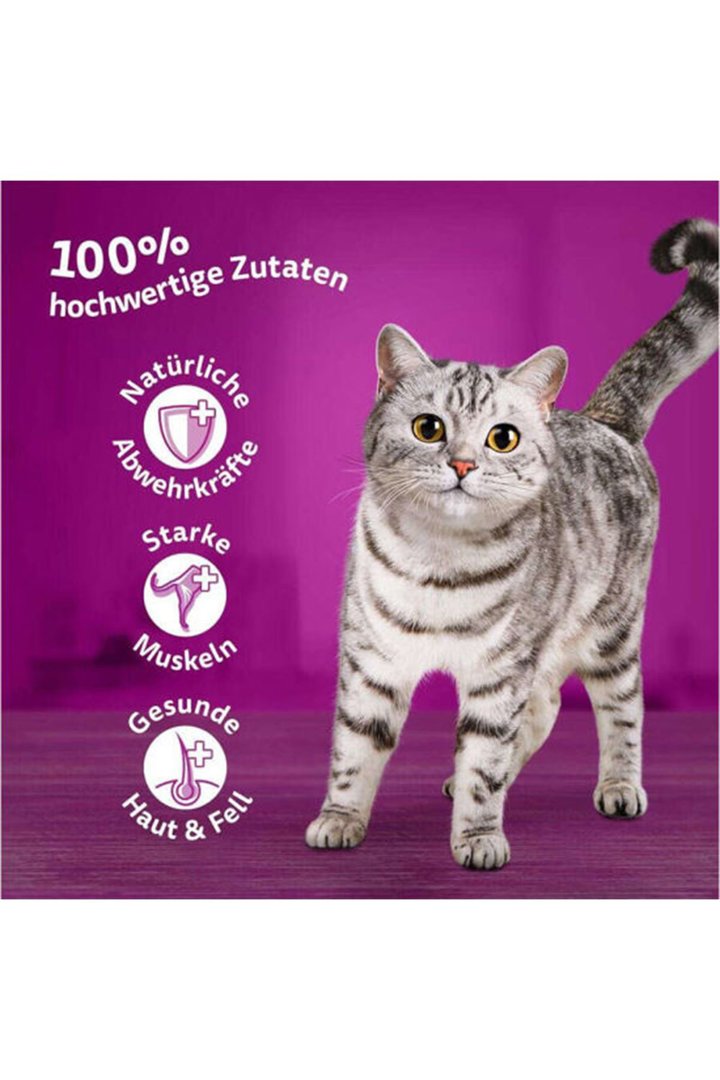 Whiskas Kedi Yaş Maması Somonlu 85 G görsel 3