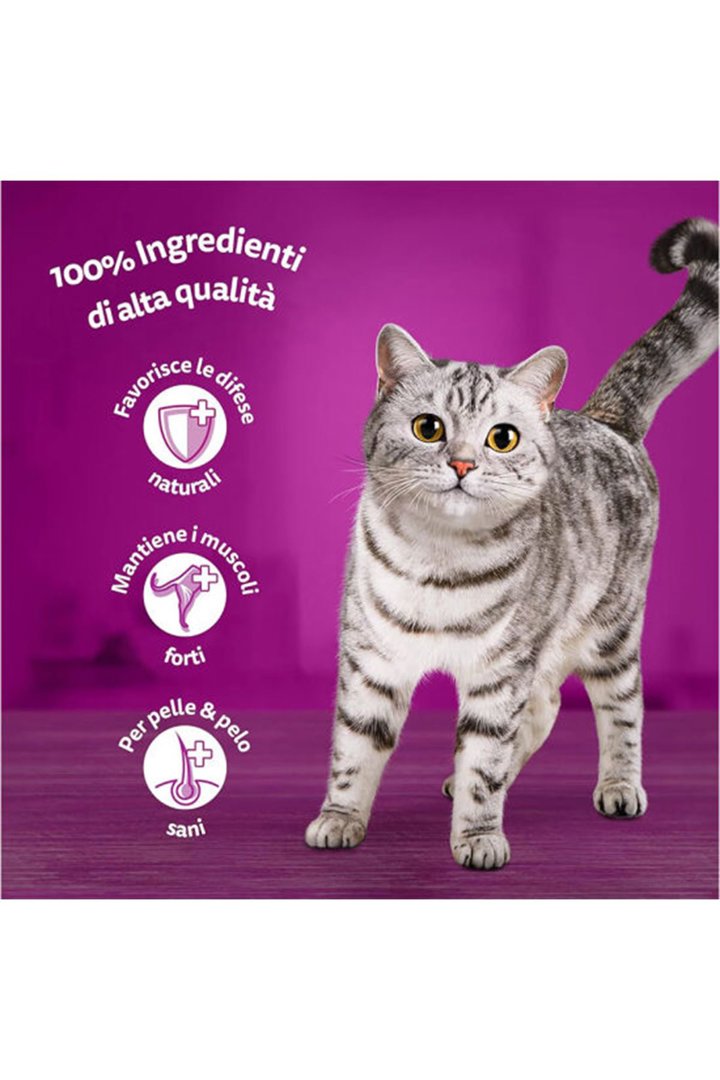 Whiskas Kedi Maması Sığır Etli 1.4 Kg görsel 2
