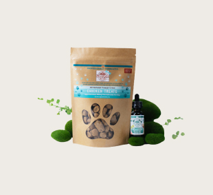 Felix Multipack Kedi Pouch 12x85g