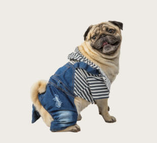 Pro Plan Puppy Yavru Köpek Maması 12kg