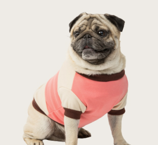 Kong Classic Köpek Oyuncağı L