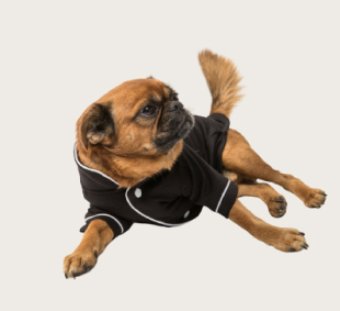 Trixie Köpek Yağmurluk M