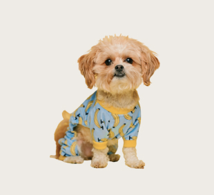 Furminator Kedi Tarak deShedding